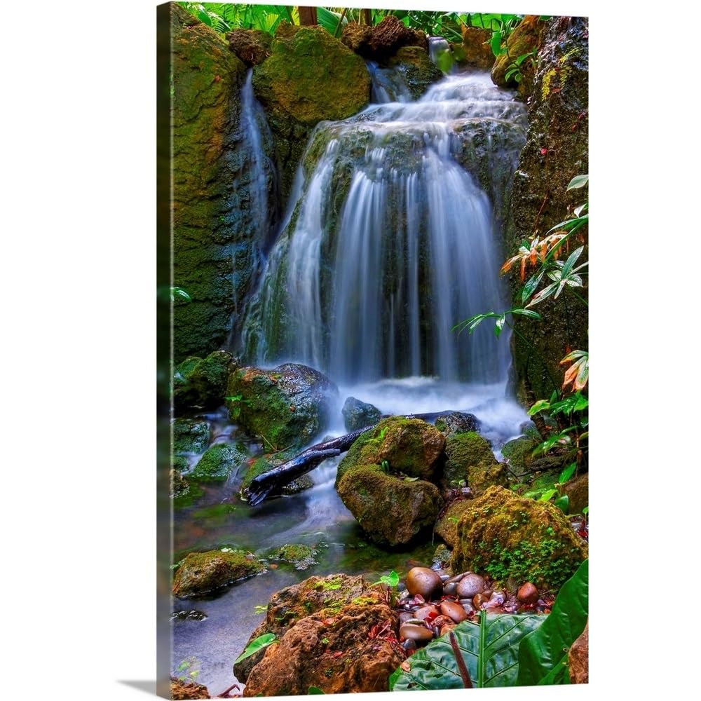 Amazon.com: CANVAS ON DEMAND Waterfall in Tropical Rainforest of